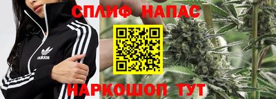 герыч Ставрополь