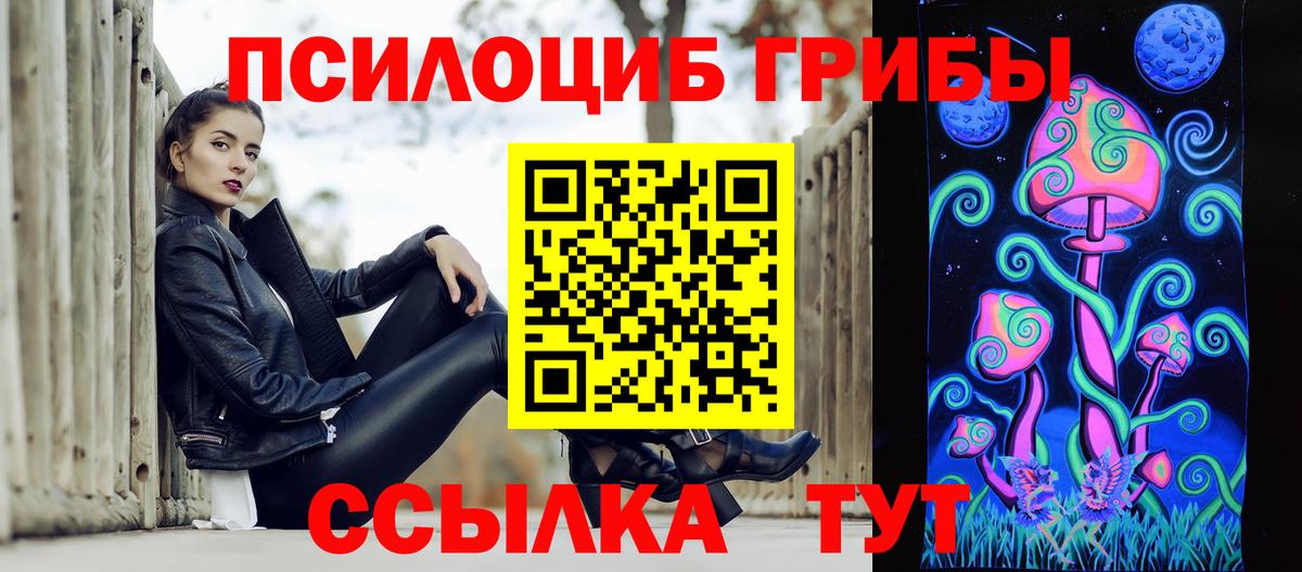 купить   Галлюциногенные грибы Psilocybine cubensis  Вход с VPN  Альметьевск 